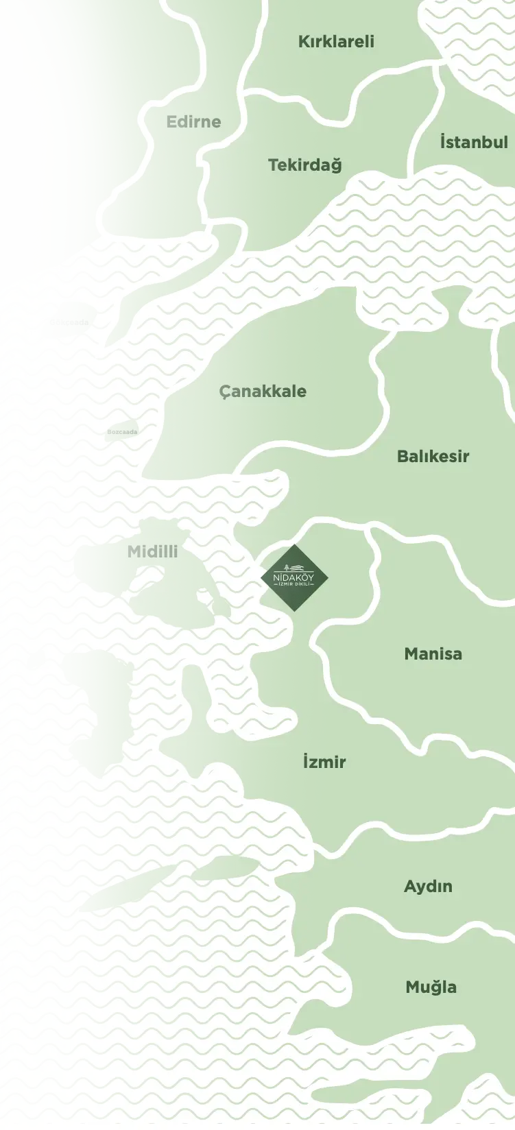 Harita